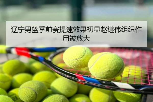 辽宁男篮季前赛提速效果初显赵继伟组织作用被放大